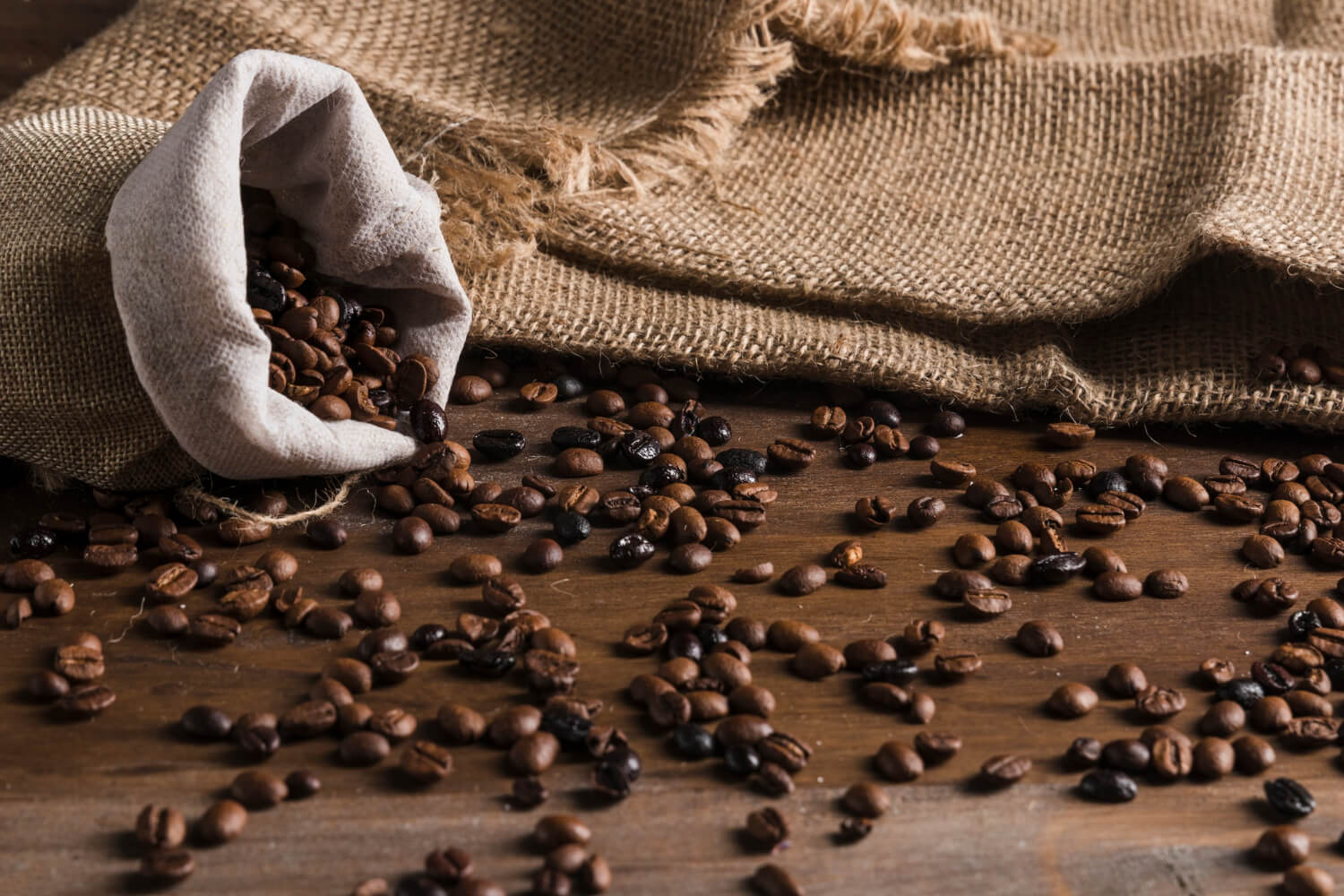 Colombian coffee farmer harvesting beans
